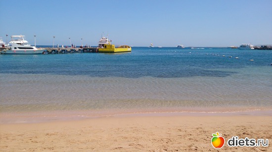 428 ����: ������� 17-24.03.2015