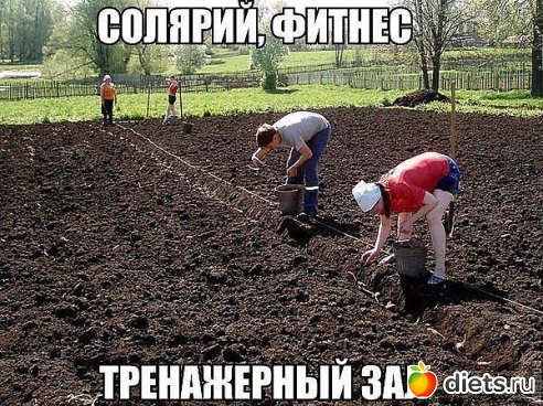 ������ �������