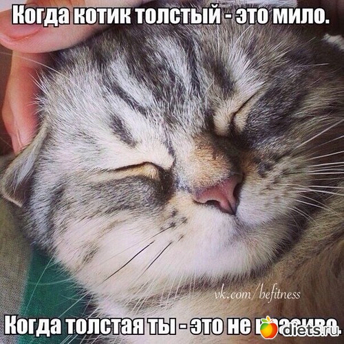 49 ����: ��������� ��� ����