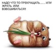 ���������))
