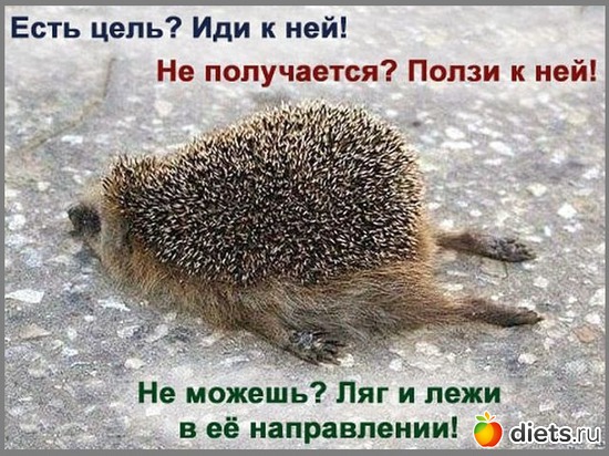 1 ����: ������