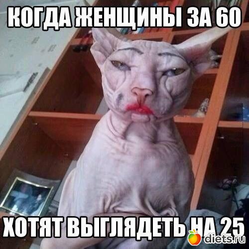 36 ����: ��,�� ���� ������ �� ����)