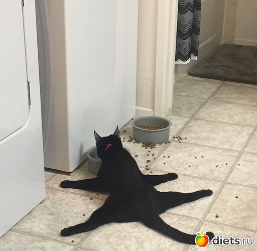 50 ����: ��,�� ���� ������ �� ����)
