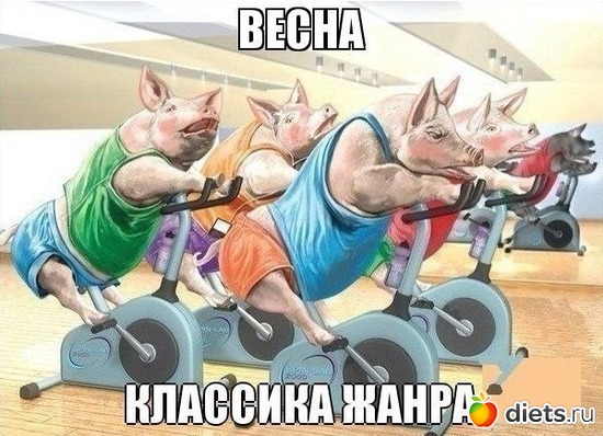6 ����: ��� ���������.