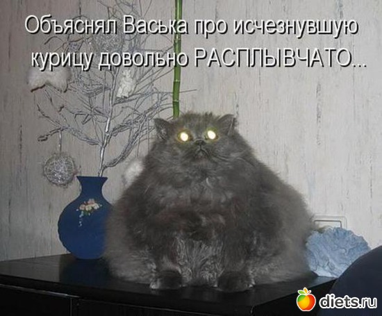 55 фото: То,от чего улыбка на лице)