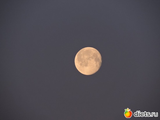 21 ����: ���������