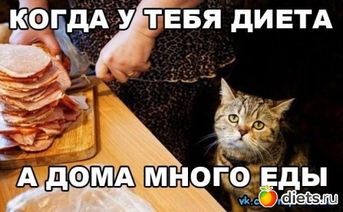 ��� ���������.