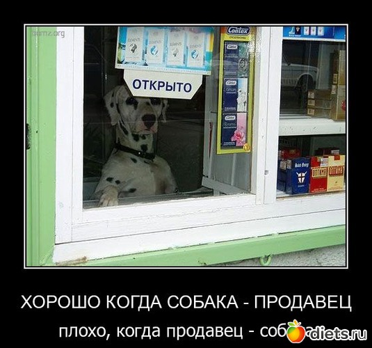 113 фото: То,от чего улыбка на лице)