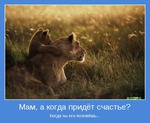 Только привыкаешь к хорошей жизни, а она опять становится лучше!