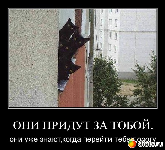 149 фото: То,от чего улыбка на лице)