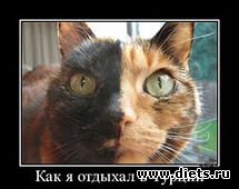 ��,�� ���� ������ �� ����)