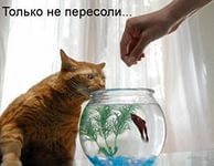 ��,�� ���� ������ �� ����)
