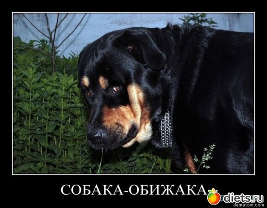 255 фото: То,от чего улыбка на лице)