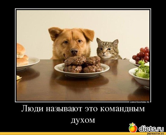 269 фото: То,от чего улыбка на лице)