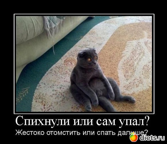272 фото: То,от чего улыбка на лице)