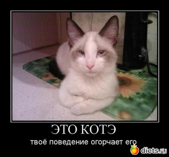 278 ����: ��,�� ���� ������ �� ����)