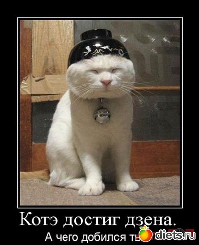 280 фото: То,от чего улыбка на лице)