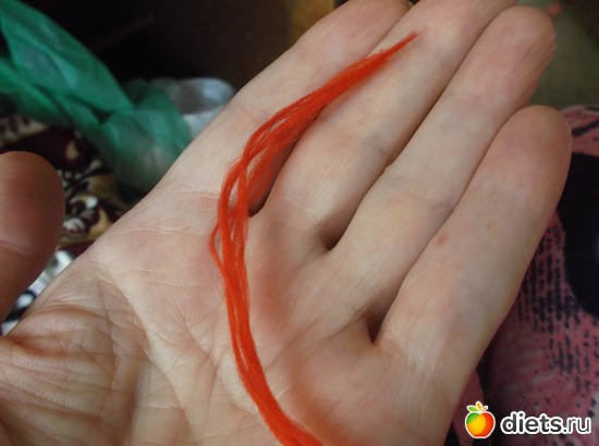 24 ����: ��� ���������