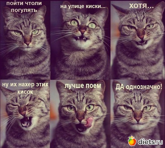 300 фото: То,от чего улыбка на лице)