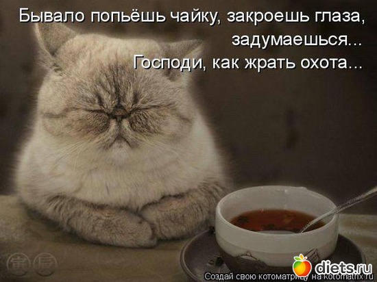 304 фото: То,от чего улыбка на лице)