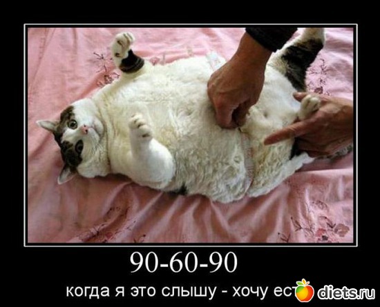316 фото: То,от чего улыбка на лице)