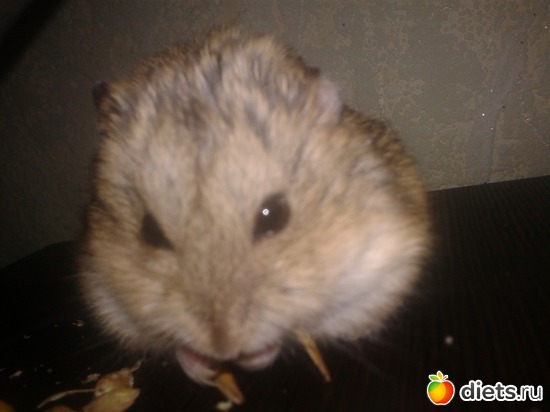 Нюшка), альбом: Пейжажи, природа, погода.