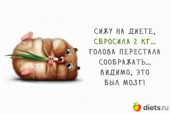 34 ����: ���������! ))