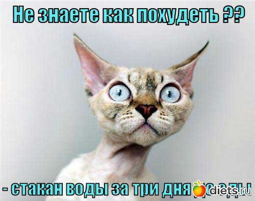 ��,�� ���� ������ �� ����)
