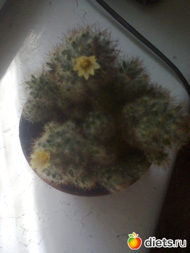 14 фото: шо попало