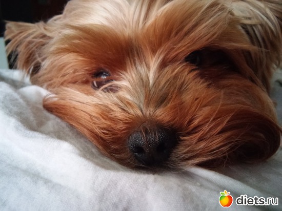 57 фото: все как есть