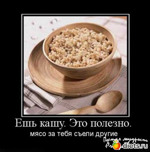 167 ����: ��� ���������.