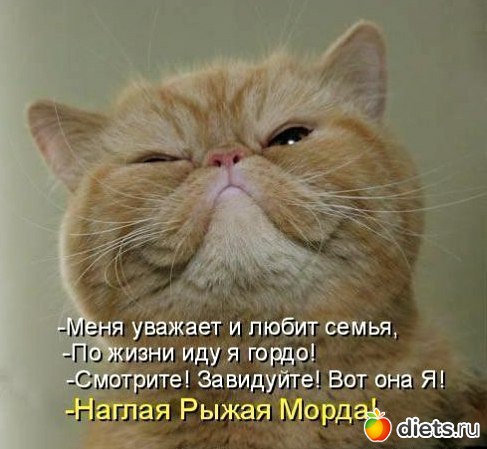��,�� ���� ������ �� ����)