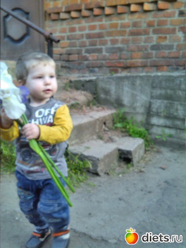 31 ����: ��� ��������...