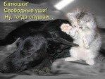 Сама себе кролик(животное пока не пострадало) или 5 ложек+