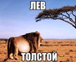 Слабоумие и отвага!