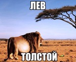 Слабоумие и отвага!