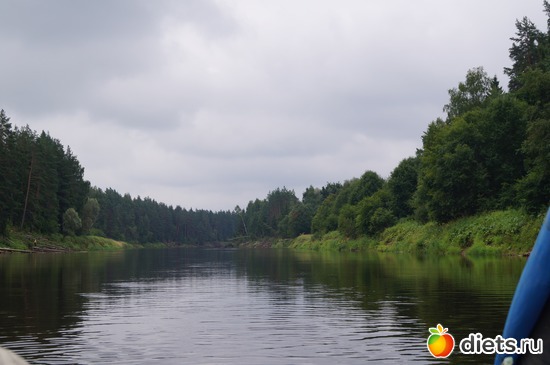 2 ����: gauja