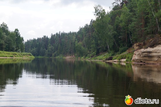 3 ����: gauja