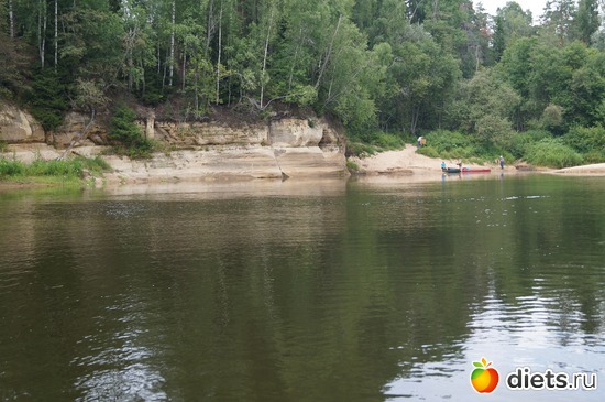 4 ����: gauja