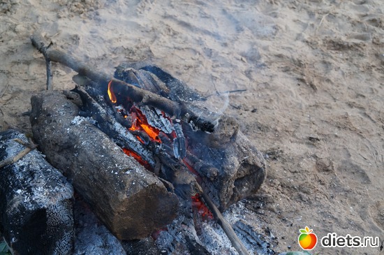 5 ����: gauja