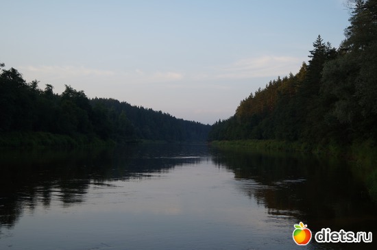 6 ����: gauja
