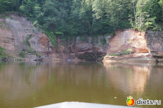 8 ����: gauja