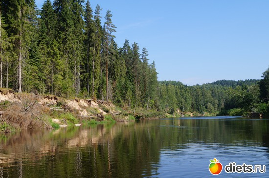 9 ����: gauja