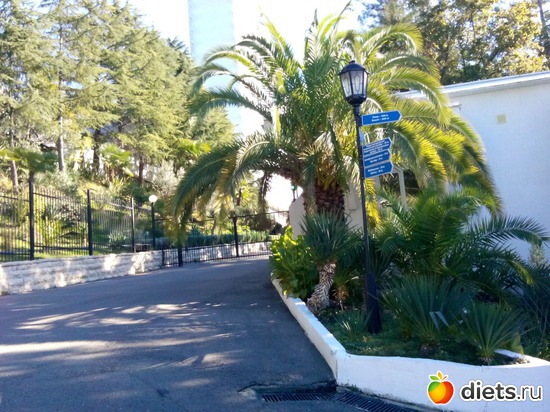 74., ������: ���� ���� � ���������. 29.10.2015�.