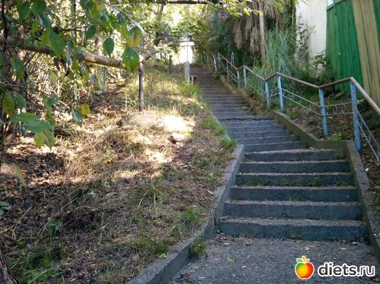 75. ��� 200 �������� � � ����), ������: ���� ���� � ���������. 29.10.2015�.