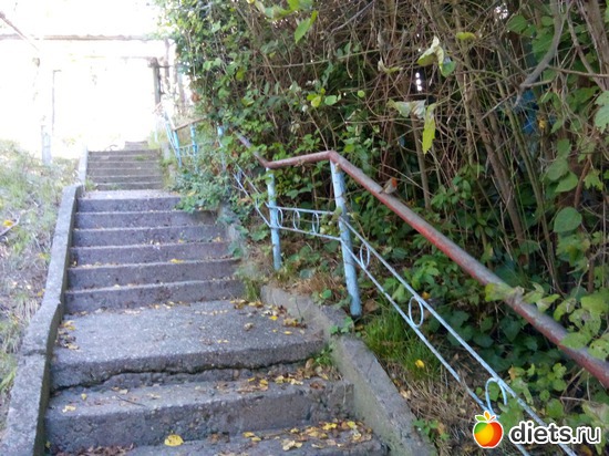 76. �������� ������., ������: ���� ���� � ���������. 29.10.2015�.