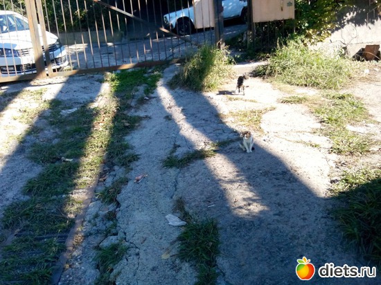 77. ����- ����� �����. �� ������� �����!, ������: ���� ���� � ���������. 29.10.2015�.