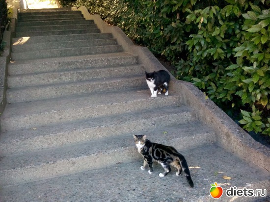 78. � ��� �����!, ������: ���� ���� � ���������. 29.10.2015�.