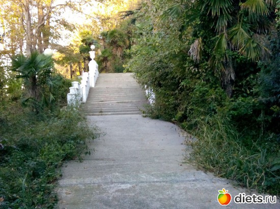 2 ����: ���� ���� � ���������. 29.10.2015�.