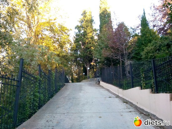 6. ������ � ����., ������: ���� ���� � ���������. 29.10.2015�.